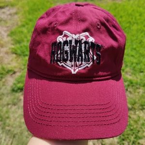 Wizarding World Hogwarts Hat